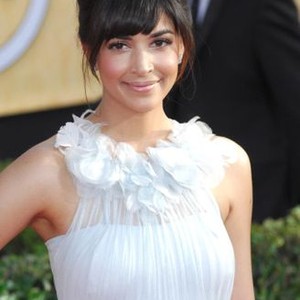 Hannah Simone at arrivals for The 20th Annual Screen Actors Guild Awards (SAGs) - ARRIVALS 1, The Shrine Auditorium, Los Angeles, CA January 18, 2014. Photo By: Elizabeth Goodenough/Everett Collection