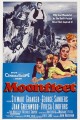 Moonfleet