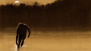 The Legend of Boggy Creek | Rotten Tomatoes
