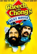 Cheech & Chong's Next Movie poster image