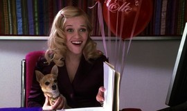 Legally Blonde 2: Red, White & Blonde: Official Clip - Bruiser's Pedigree photo 7