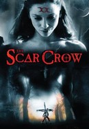 The Scar Crow poster image