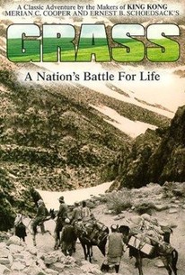 Poster for Grass: A Nation's Battle for Life