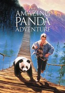 The Amazing Panda Adventure poster image
