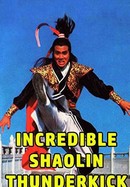 Incredible Shaolin Thunderkick poster image