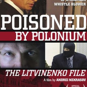 Poisoned by Polonium: The Litvinenko File (2007) photo 11
