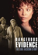 Dangerous Evidence: The Lori Jackson Story poster image