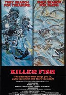 Killer Fish poster image