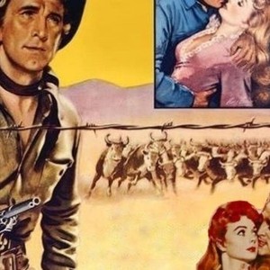 Man Without a Star photo 7