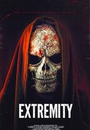 Extremity poster image