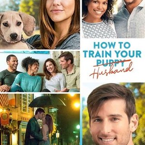 How to Train Your Husband - Rotten Tomatoes