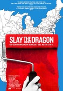 Slay the Dragon poster image
