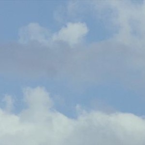 Fingers in the Wind - Rotten Tomatoes