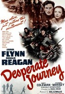 Desperate Journey poster image