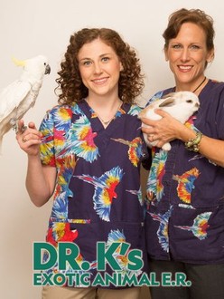 Dr t on dr k sale exotic animal er