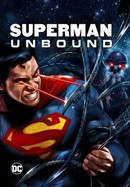 Superman: Unbound poster image