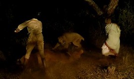 Out of Africa: Official Clip - Lion Attack