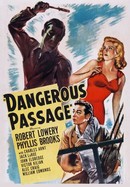 Dangerous Passage poster image