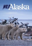 Wild Alaska poster image
