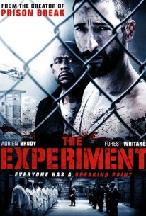 the experiment 2010 movie torrent download