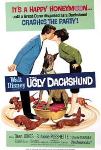 Watch trailer for The Ugly Dachshund