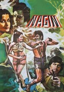 Nagin poster image