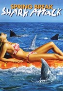 Spring Break Shark Attack poster image