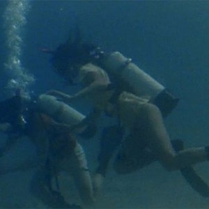 Barracuda (1978) photo 1