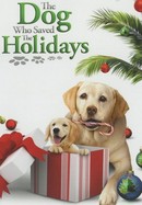 The Dog Who Saved the Holidays poster image