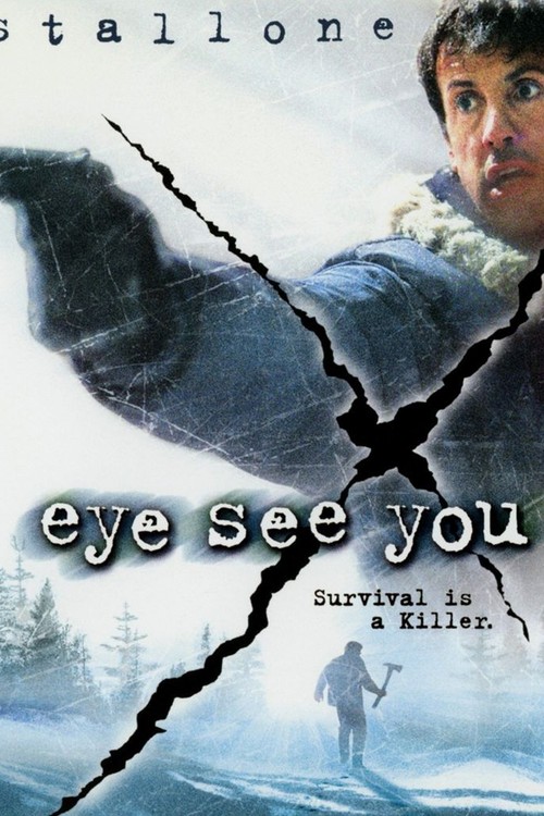 Eye See You poster