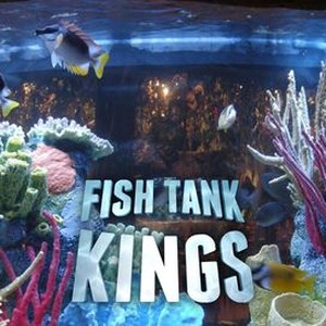 Fish Tank Kings: Season 1, Episode 1 - Rotten Tomatoes