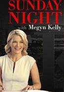 Sunday Night With Megyn Kelly poster image