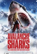 Avalanche Sharks poster image