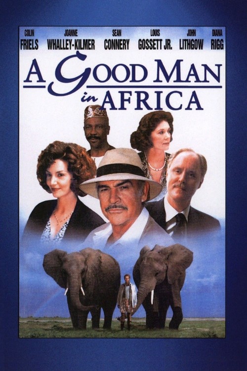 A Good Man in Africa poster