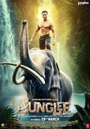 Junglee poster image