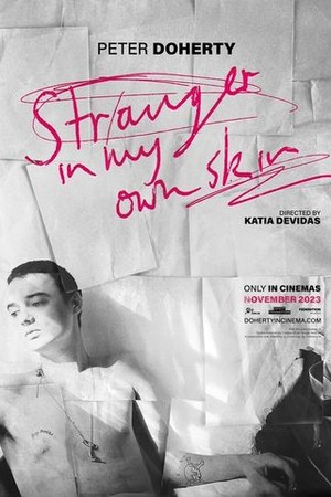 Peter Doherty: Stranger in My Own Skin poster
