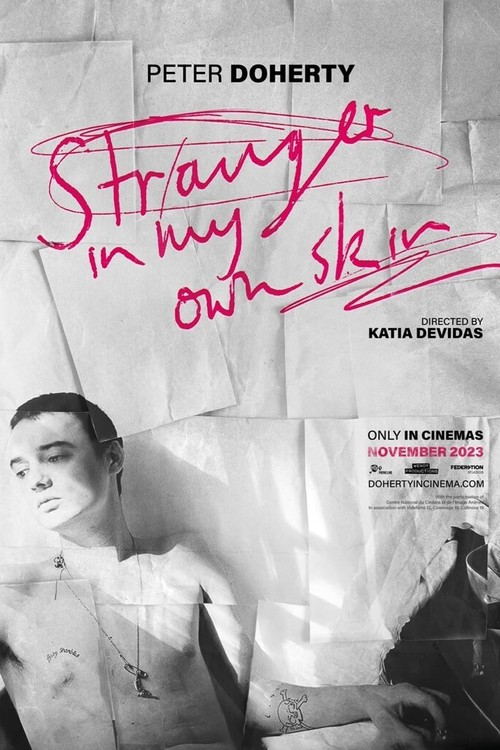 Peter Doherty: Stranger in My Own Skin poster