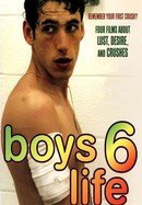 Boys Life 6 poster image