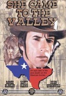 She Came to the Valley poster image