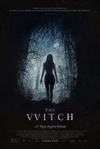 The Witch 2015 Rotten Tomatoes