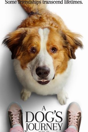 A Dog's Journey poster