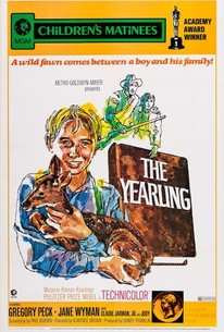 Watch trailer for The Yearling