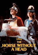 The Horse Without a Head poster image