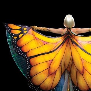 The Butterfly Tree photo 18