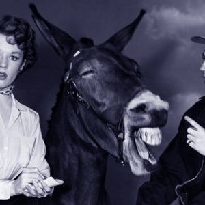 Francis Goes to the Races (1951) photo 4