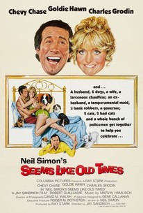Seems Like Old Times poster