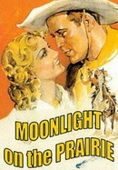 Moonlight on the Prairie poster image