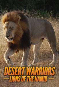 Desert Warriors Lions Of The Namib Rotten Tomatoes