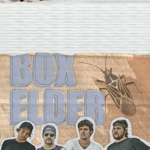 Box Elder (2008) photo 5
