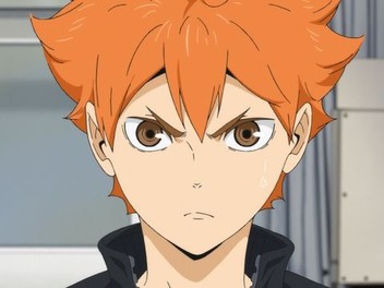 Haikyu!! To the Top (Season 4) Complete Collection
